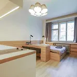 Business Andel, 10 Min To Centre, Netflix, Paid Parking *