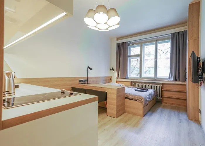 Business Andel, 10 Min To Centre, Netflix, Paid Parking *